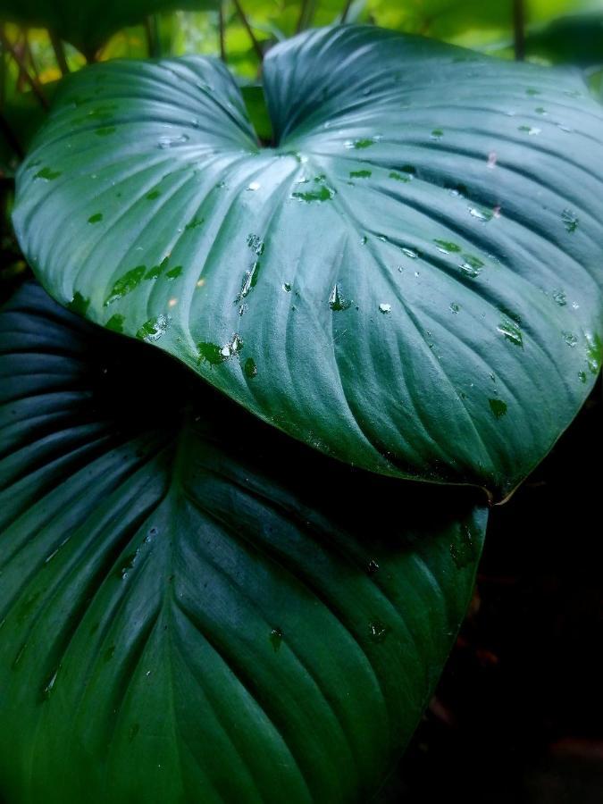 Finca Kobo Palo Seco エクステリア 写真
