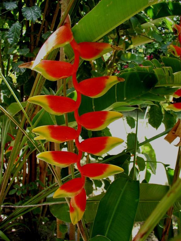 Finca Kobo Palo Seco エクステリア 写真