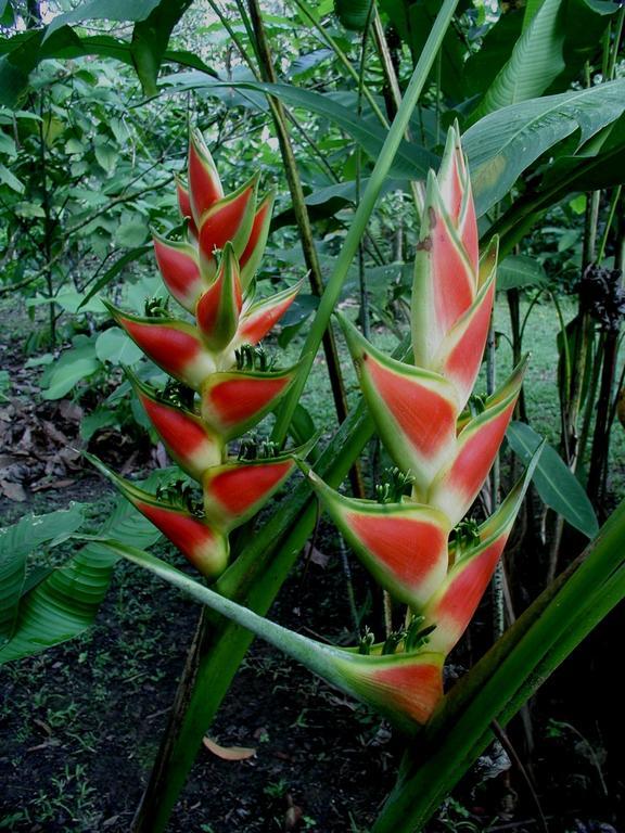 Finca Kobo Palo Seco エクステリア 写真