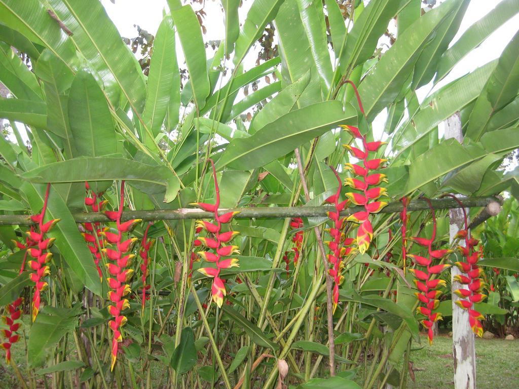 Finca Kobo Palo Seco エクステリア 写真