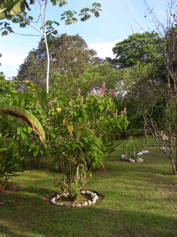Finca Kobo Palo Seco エクステリア 写真