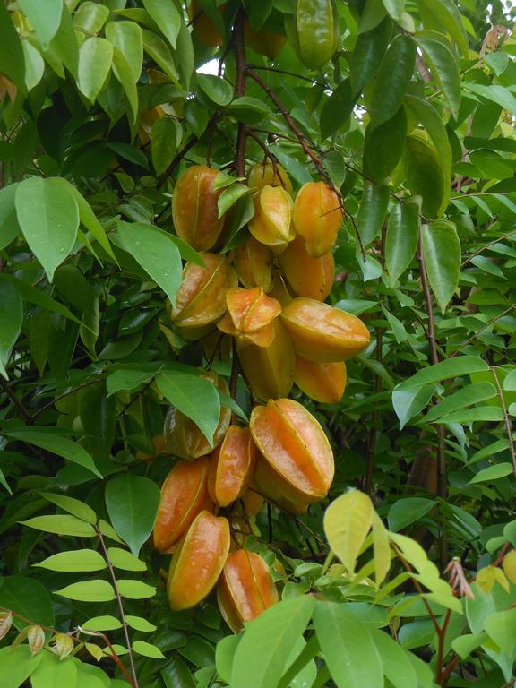 Finca Kobo Palo Seco エクステリア 写真