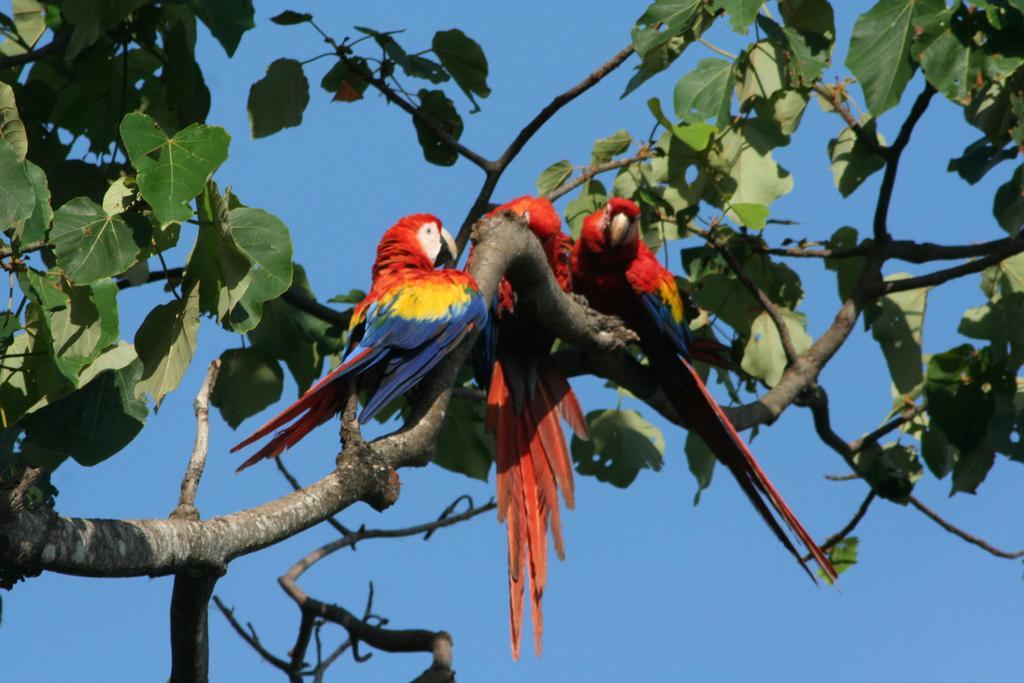 Finca Kobo Palo Seco エクステリア 写真